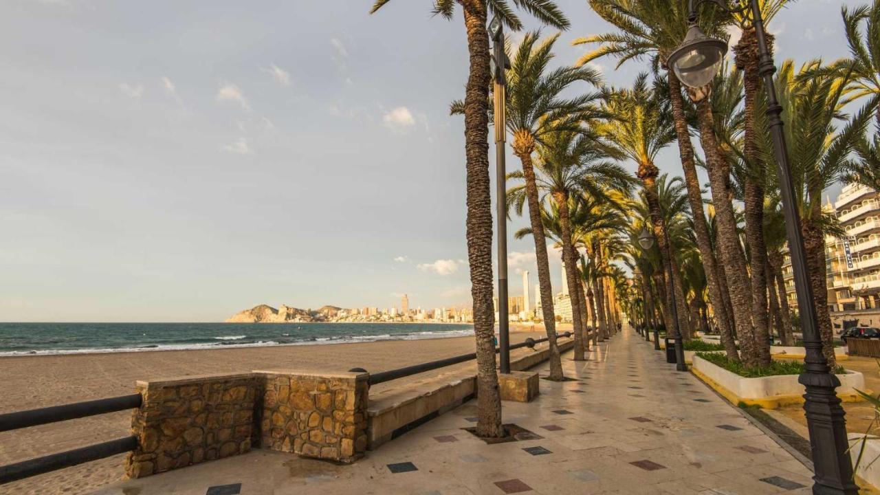 Apartamento Parque Elche If בנידורם מראה חיצוני תמונה